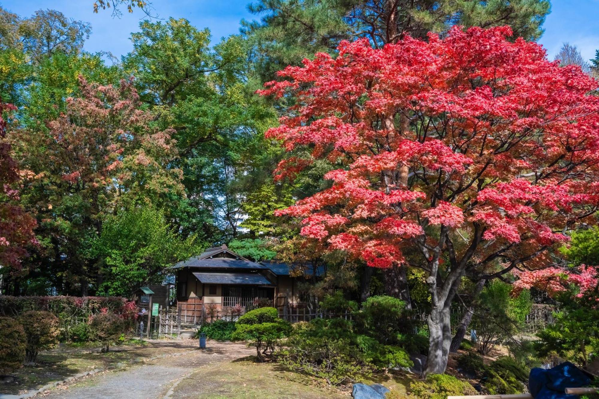 Hotel Mystays Sapporo Nakajima Park Luaran gambar