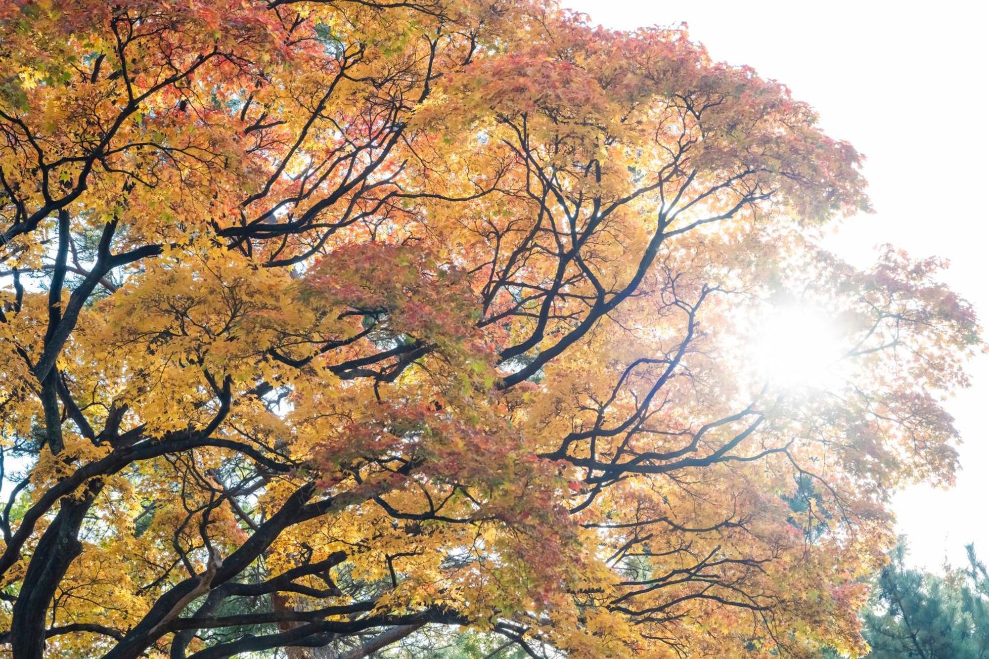 Hotel Mystays Sapporo Nakajima Park Luaran gambar