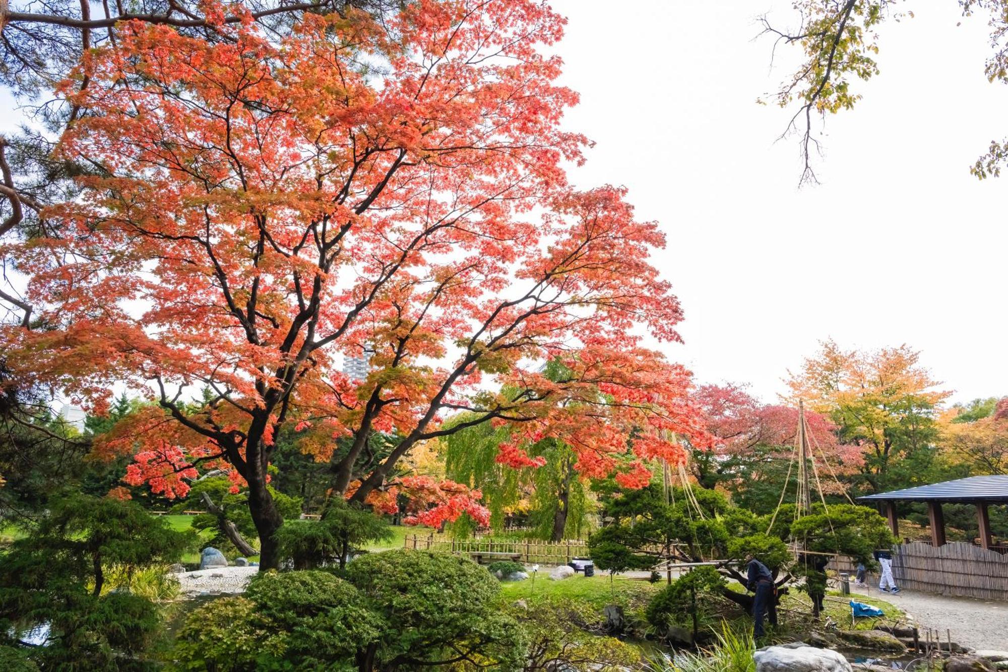 Hotel Mystays Sapporo Nakajima Park Luaran gambar