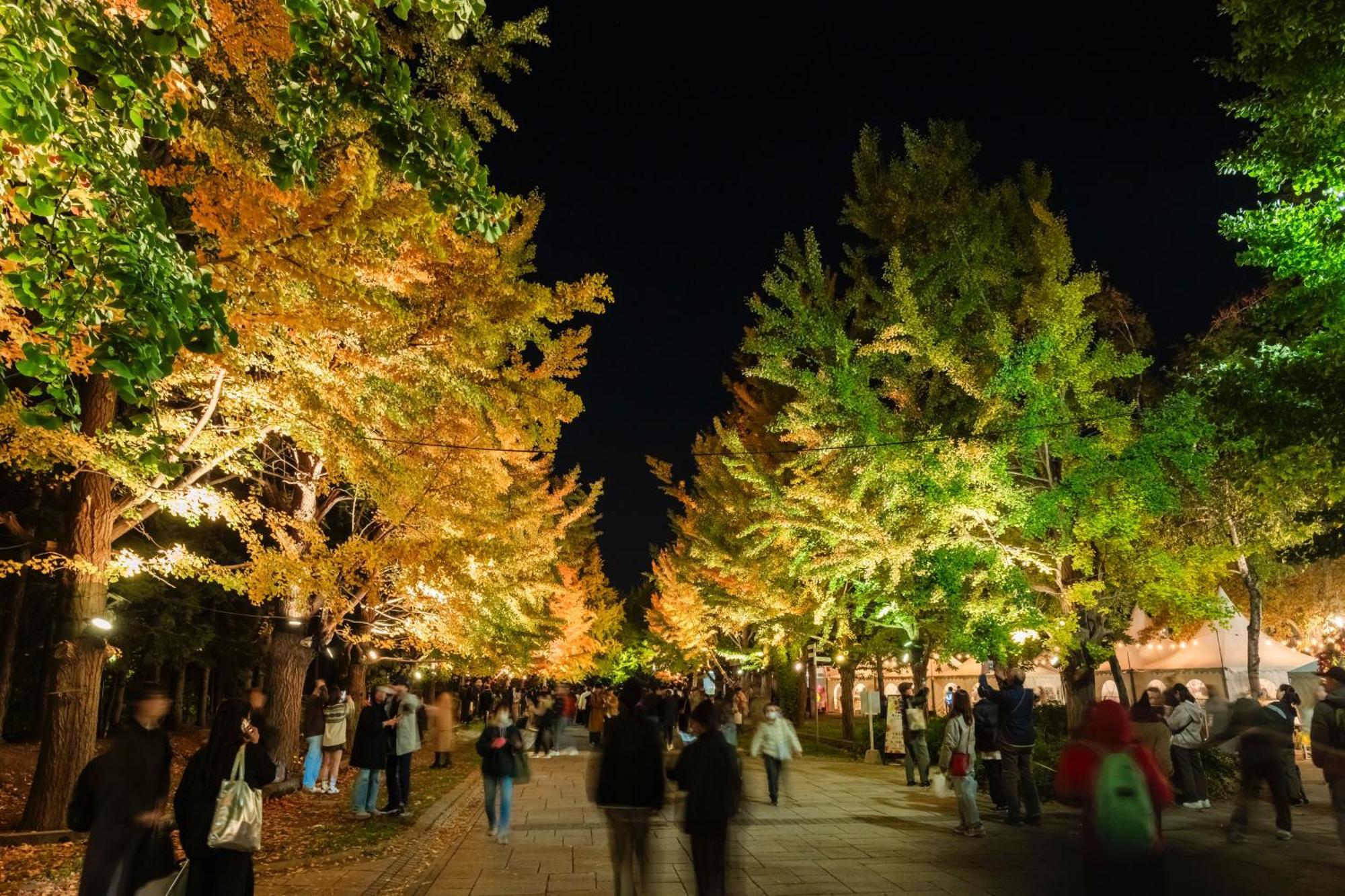 Hotel Mystays Sapporo Nakajima Park Luaran gambar