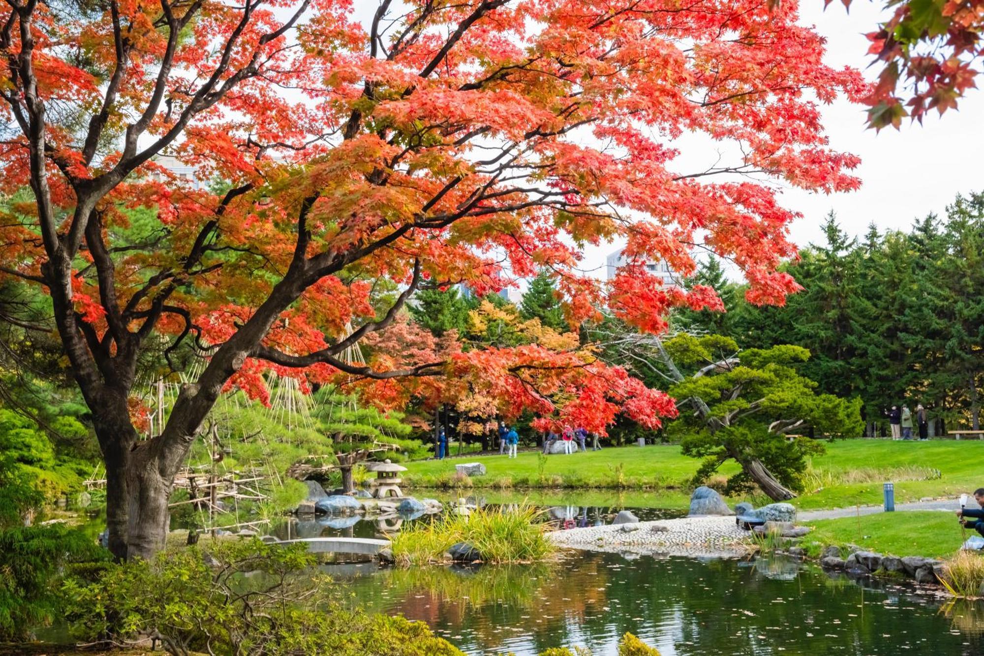 Hotel Mystays Sapporo Nakajima Park Luaran gambar